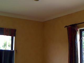 Infrared Image Ceiling Leak  (3)